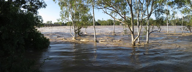 Zona inundada