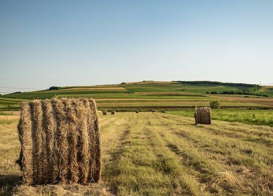 Registre de parcel·les agrícoles i ramaderes en desús