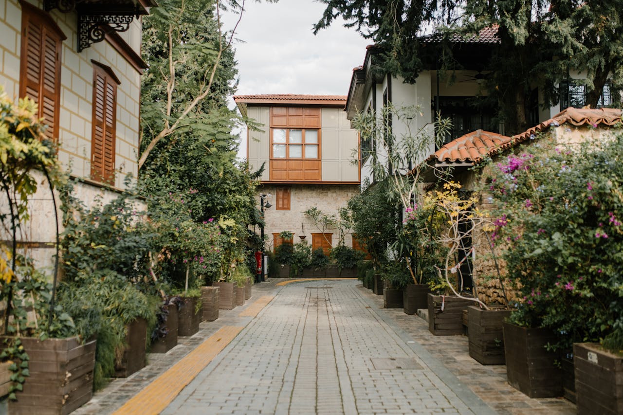 Carrer amb entorn paisatgístic