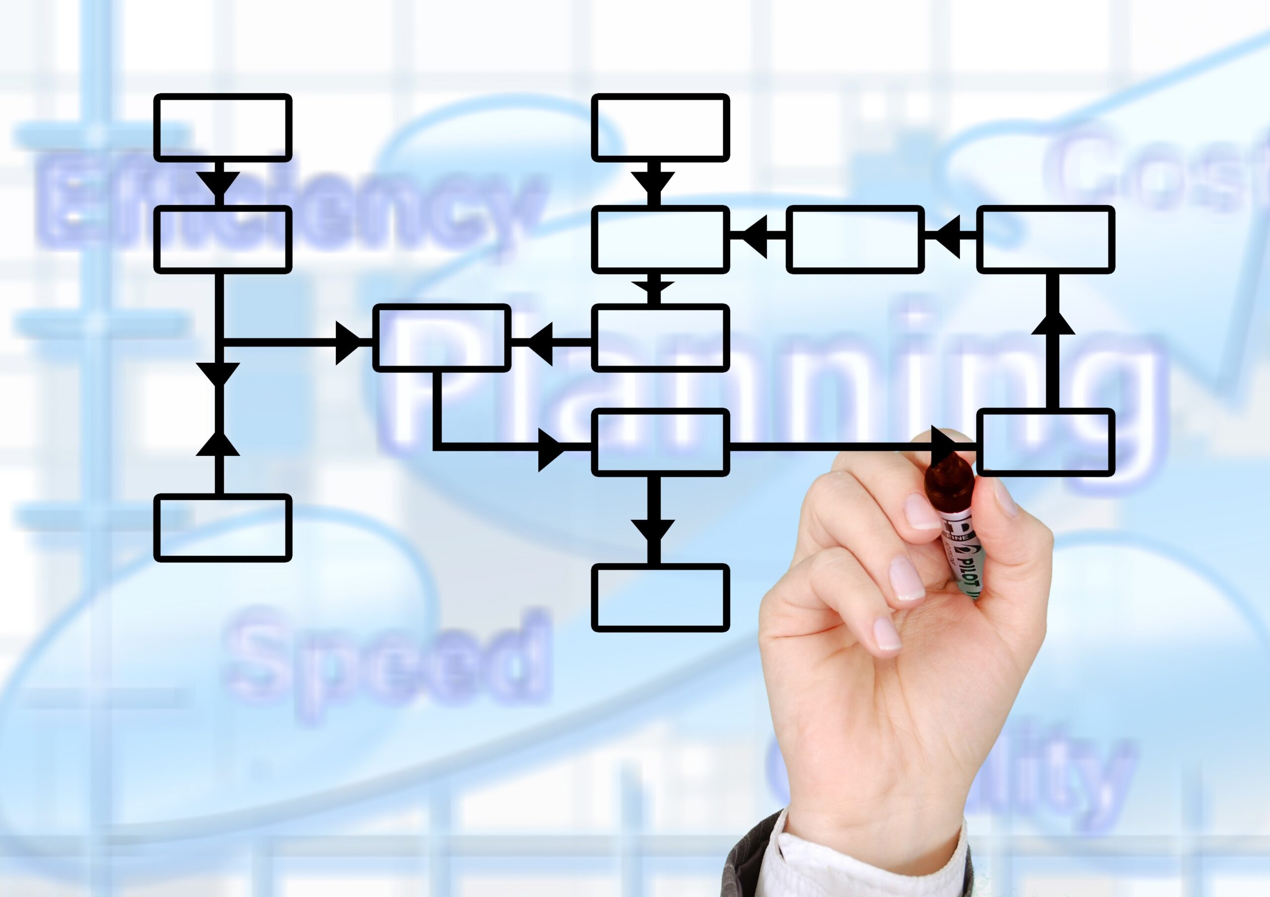 Mà dibuixant un diagrama amb la paraula planing