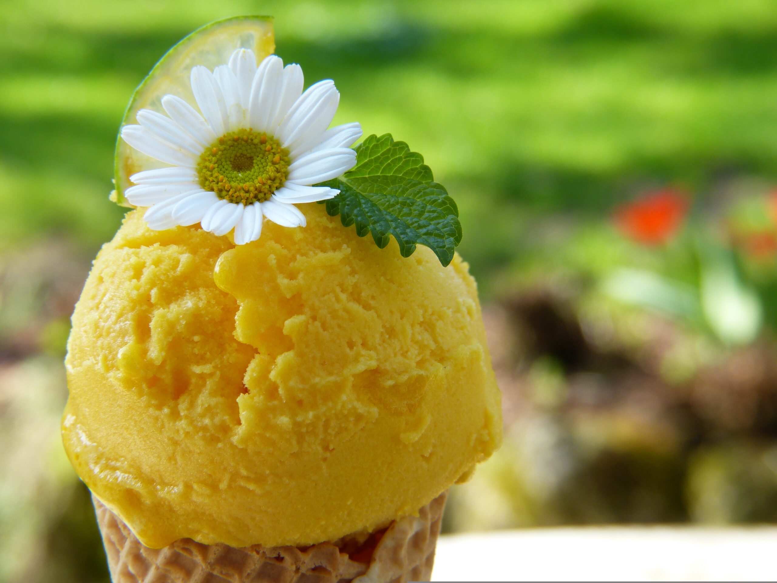 Cucurutxo de gelat de color groc amb una margarida petita a dalt